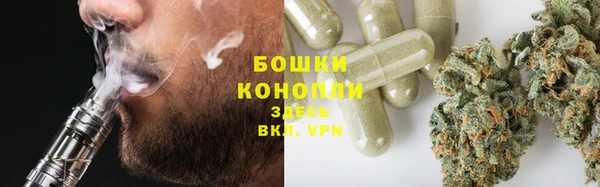 МДПВ Каменногорск