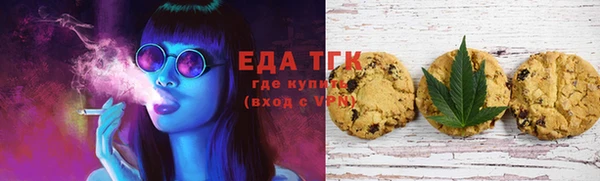 МДПВ Каменногорск