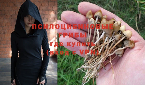 индика Каменск-Шахтинский