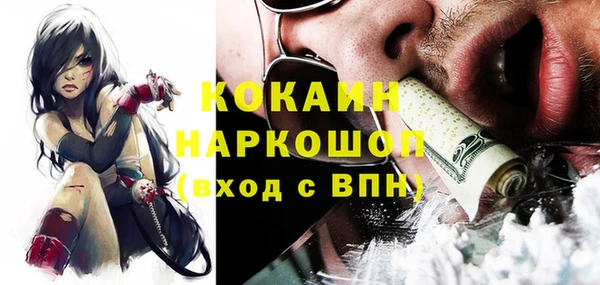 МДПВ Каменногорск