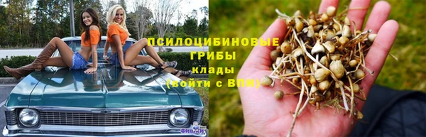 МДПВ Каменногорск