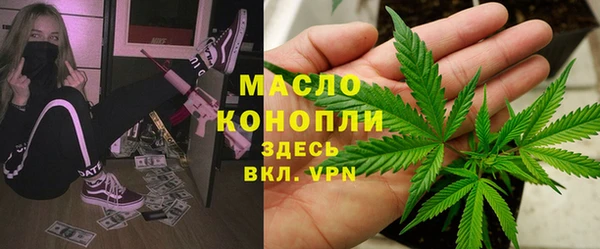 МДПВ Каменногорск